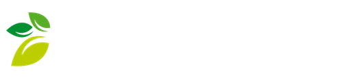 Cansily logo